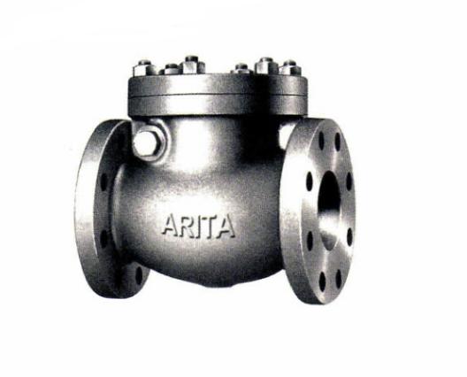 Swing Check Valve Class 125 FE