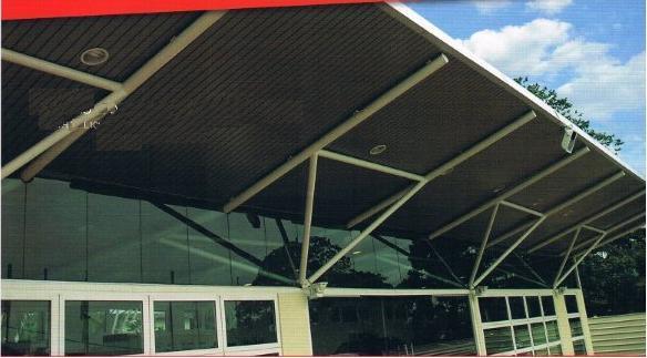 pic1