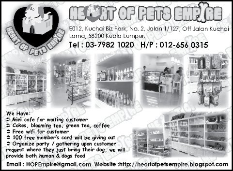 Print Advert