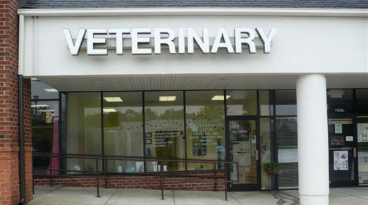 Pet First Veterinary Centre-Services