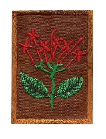 B05