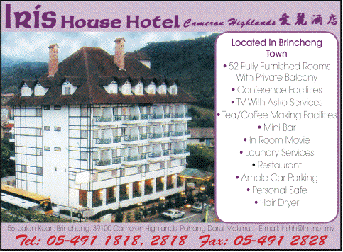 Print Advert
