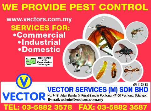 Print Advert