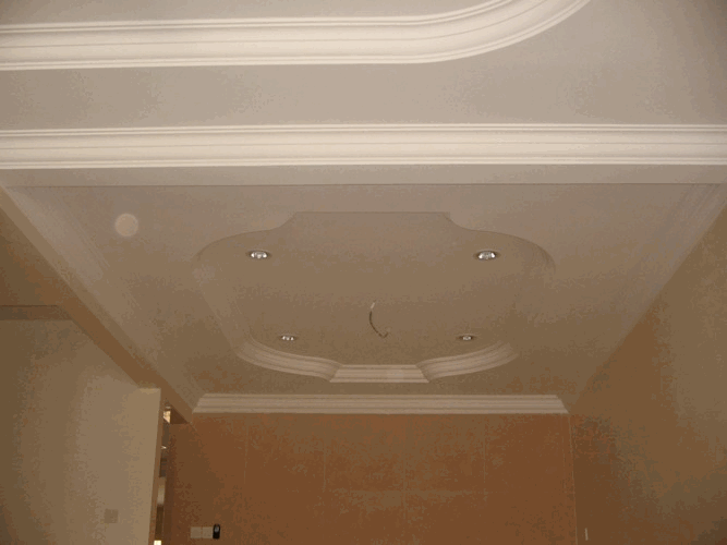 Plaster Ceiling