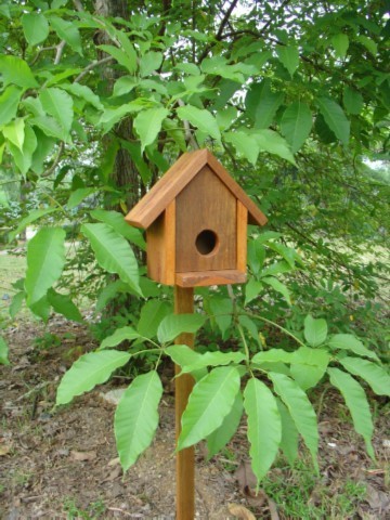 small bird house