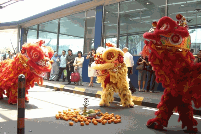 麒麟閣青年醒獅團 (Kee Ling Kok Lion Dance Association )