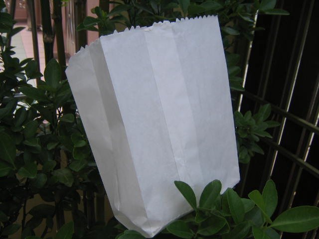 White Paper Bag