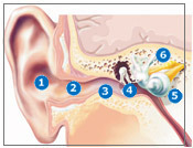 step2_ear