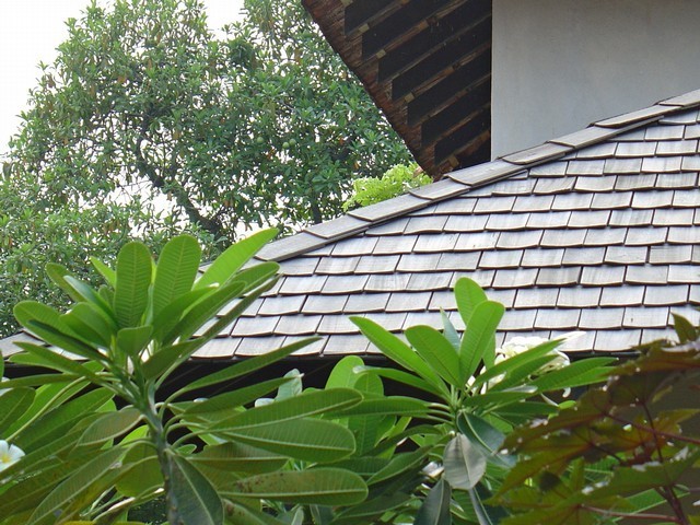 wood shingles roofing