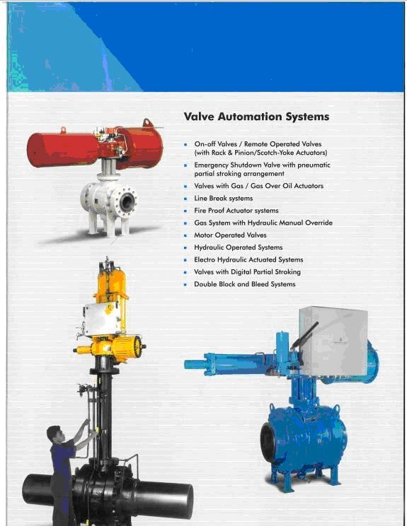 Valve Automation System