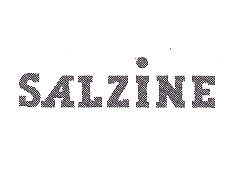 SALZINE logo