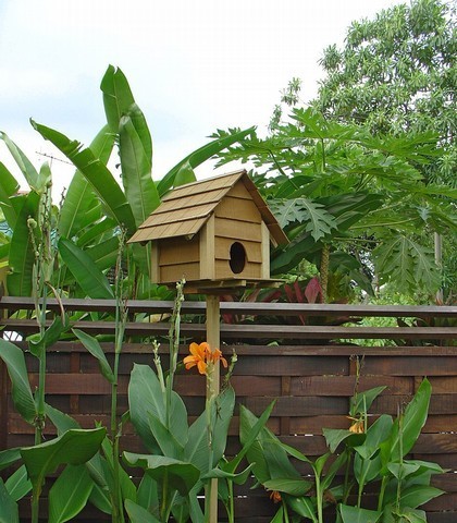 Bird lodge