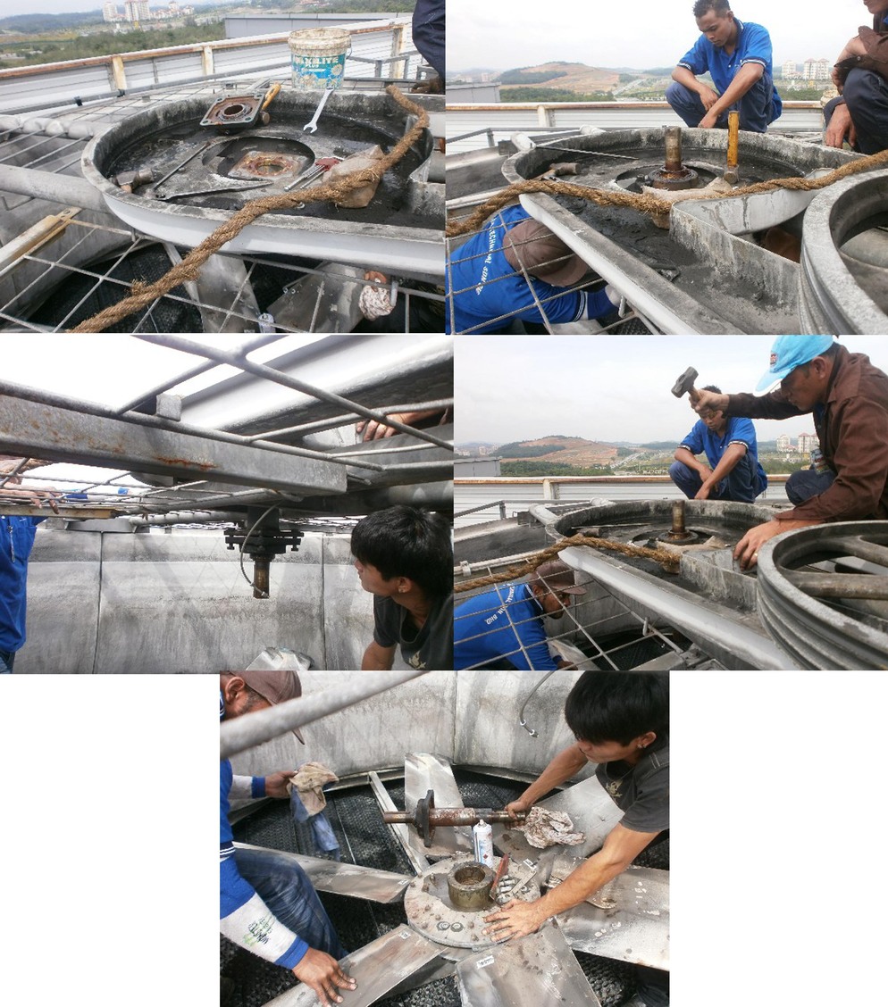 Our Services