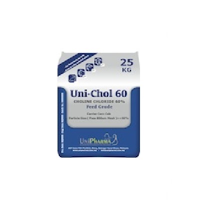UNI CHOL 60