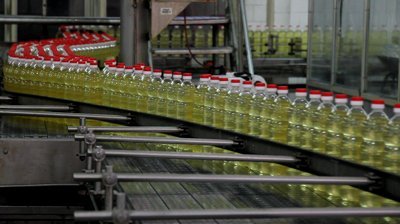 stock footage sunflower oil factory