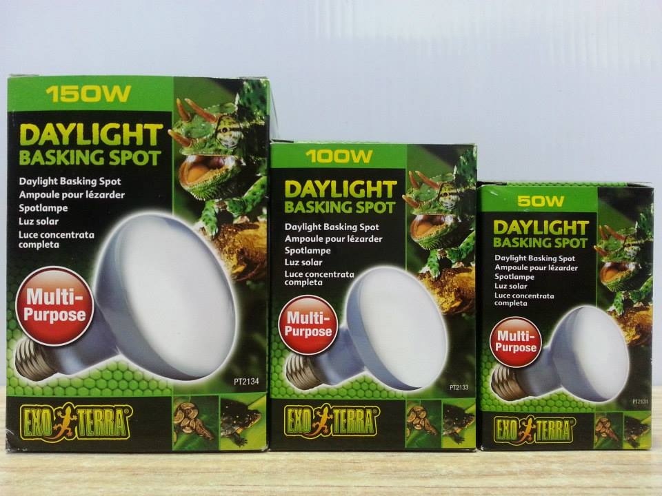 multipurpose day light bulb