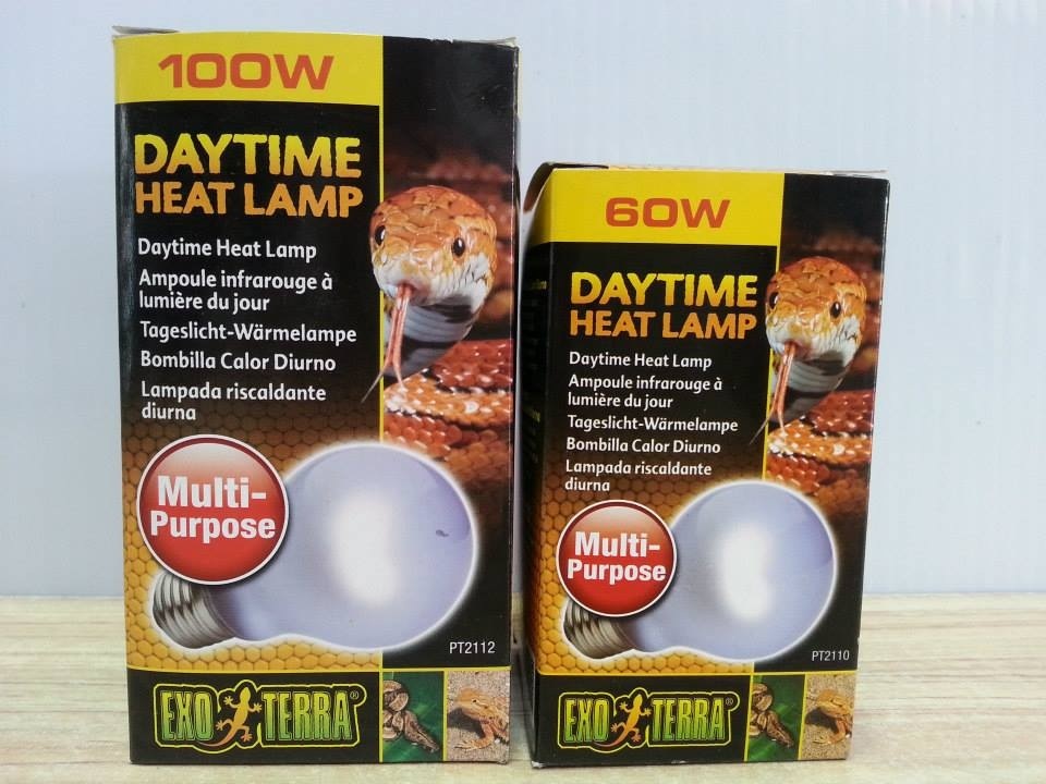 day time heat lamp