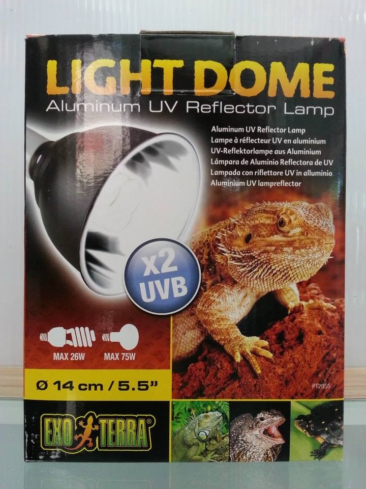 light dome