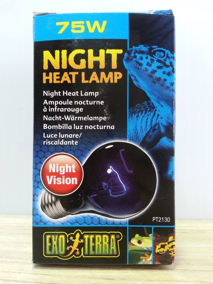 night heat lamp