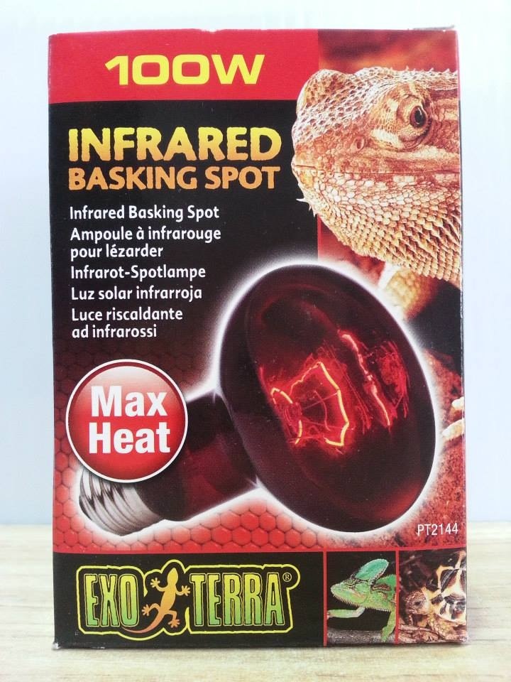 infrarred basking spot
