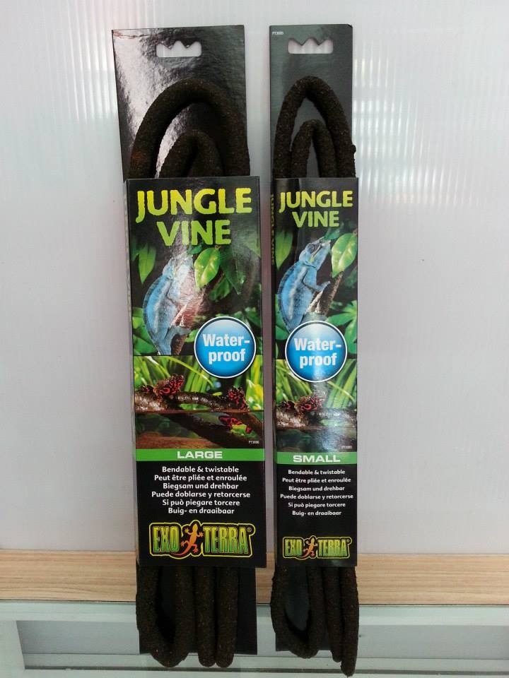 jungle vine