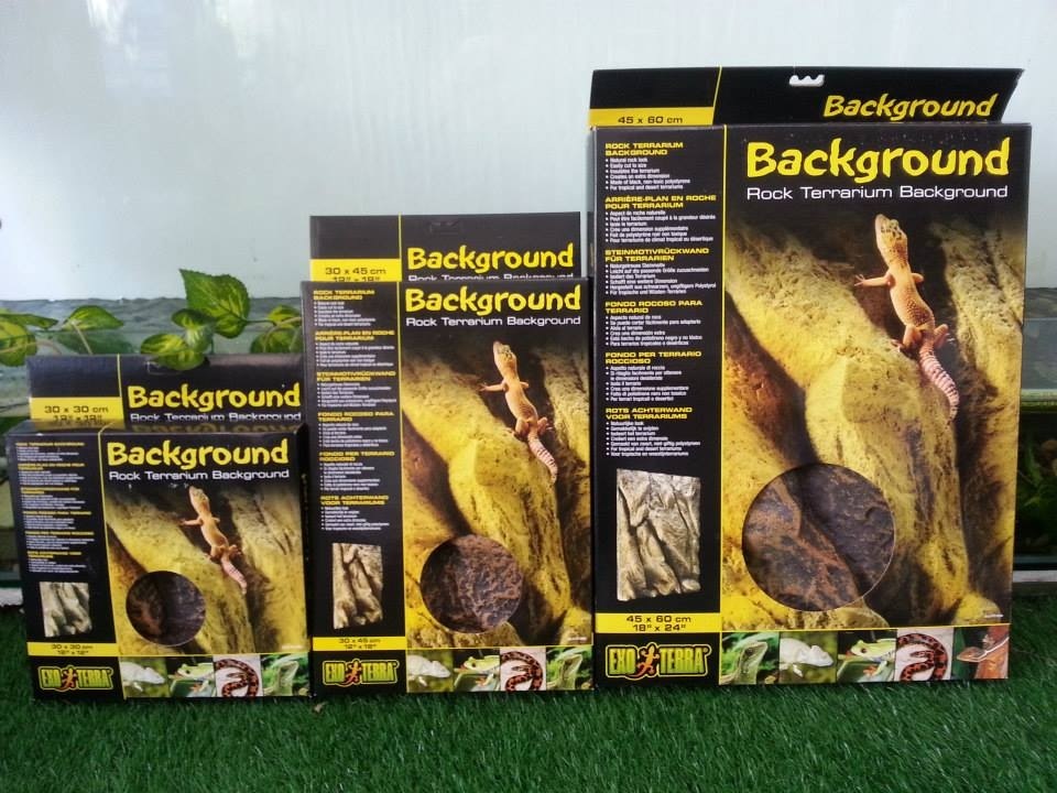 rock background foam