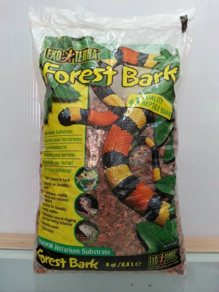 forest bark
