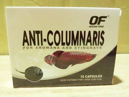 anti columnaris