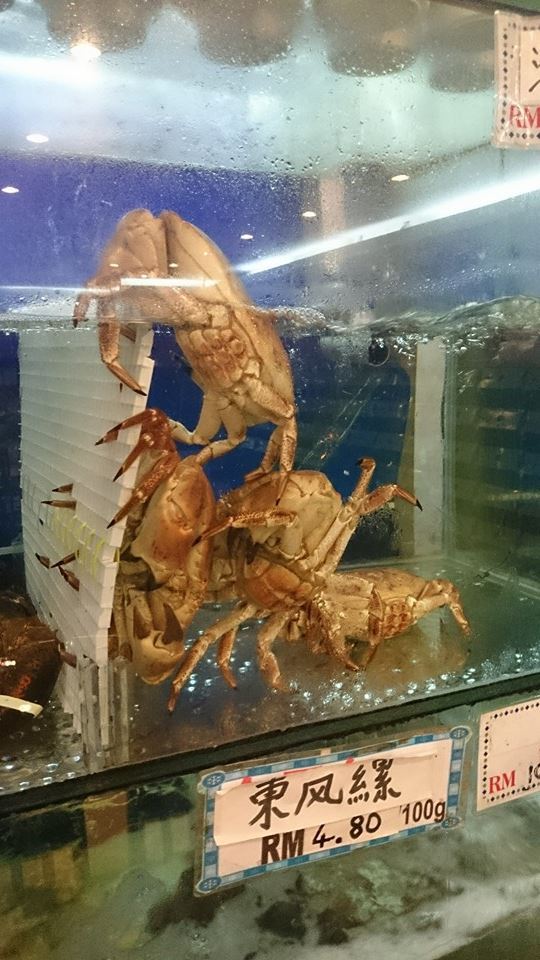 Fresh Seafood
