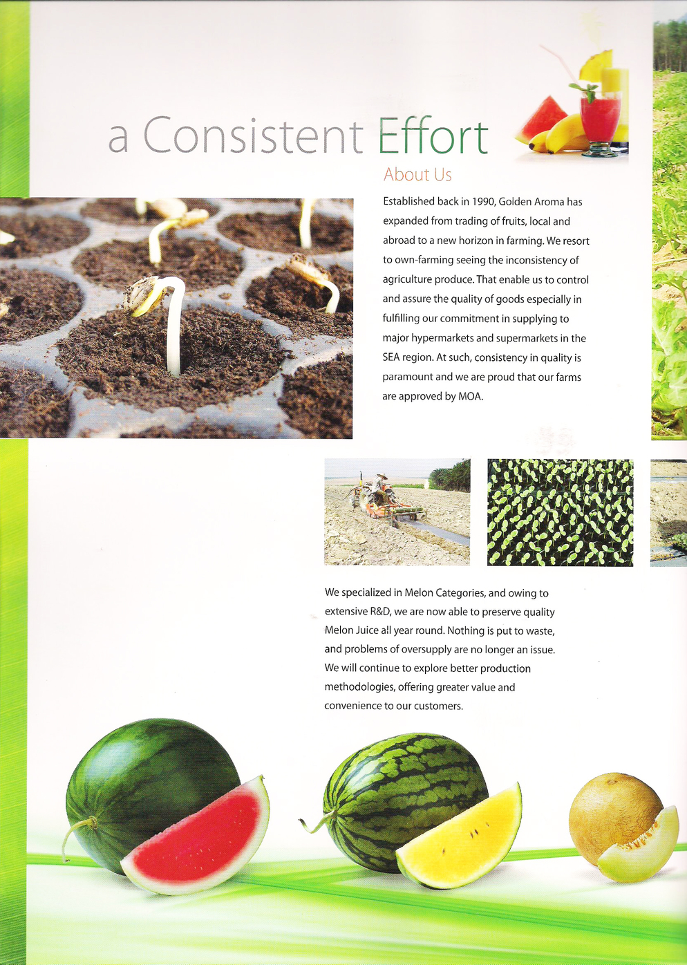 catalog 3
