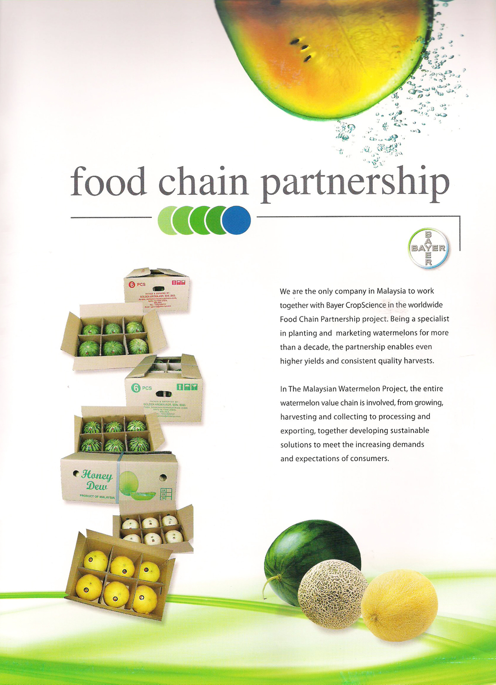 catalog 6