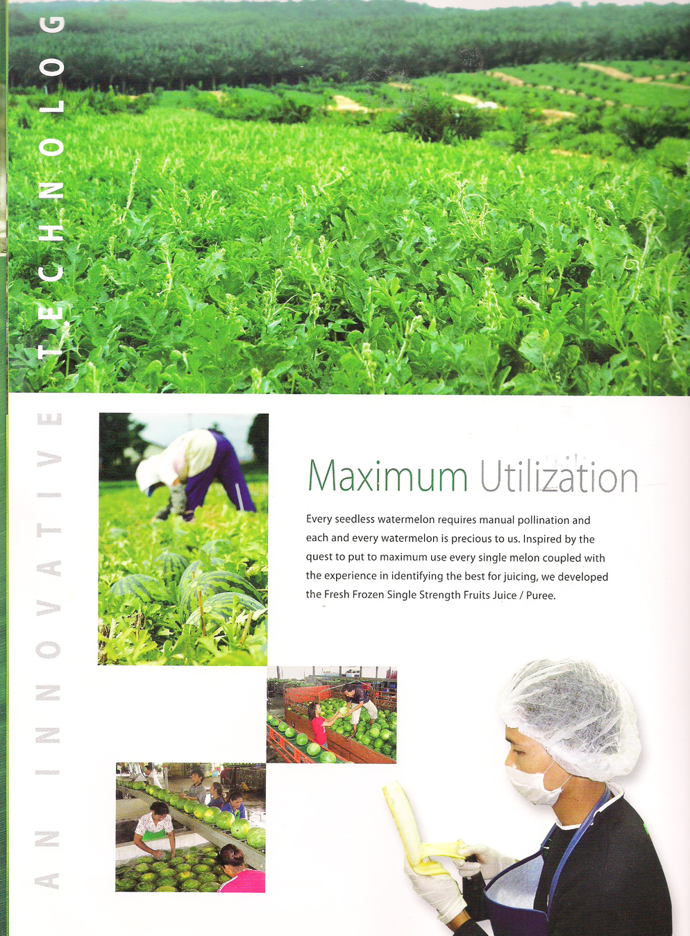 catalog 7