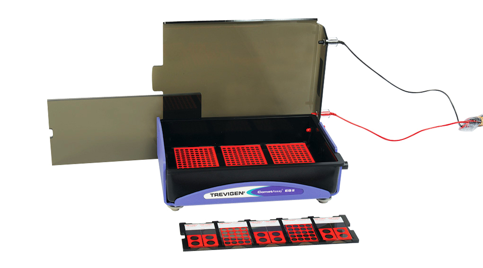 Comet Assay Kit