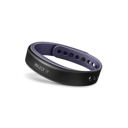 VivoSmart Purple