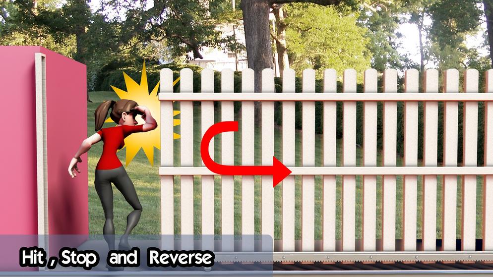 auto reverse human