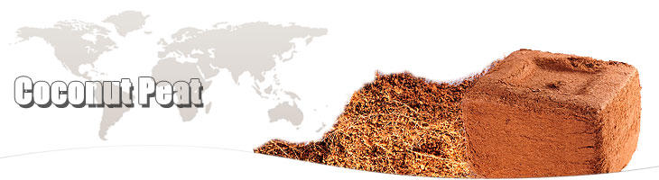 Coco Peat