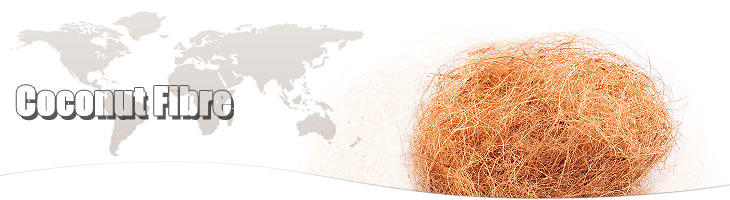 Coconut Fibre