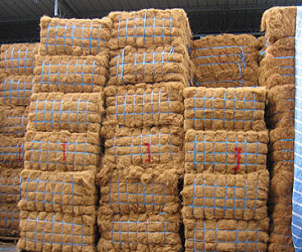 Coconut Fibre1