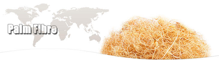 Oil Palm Fibre