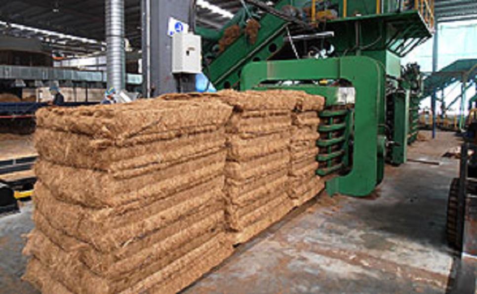 Oil Palm Fibre3