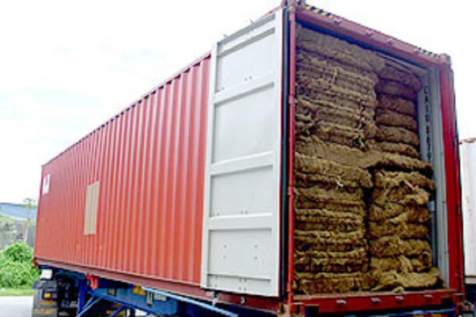 Oil Palm Fibre4