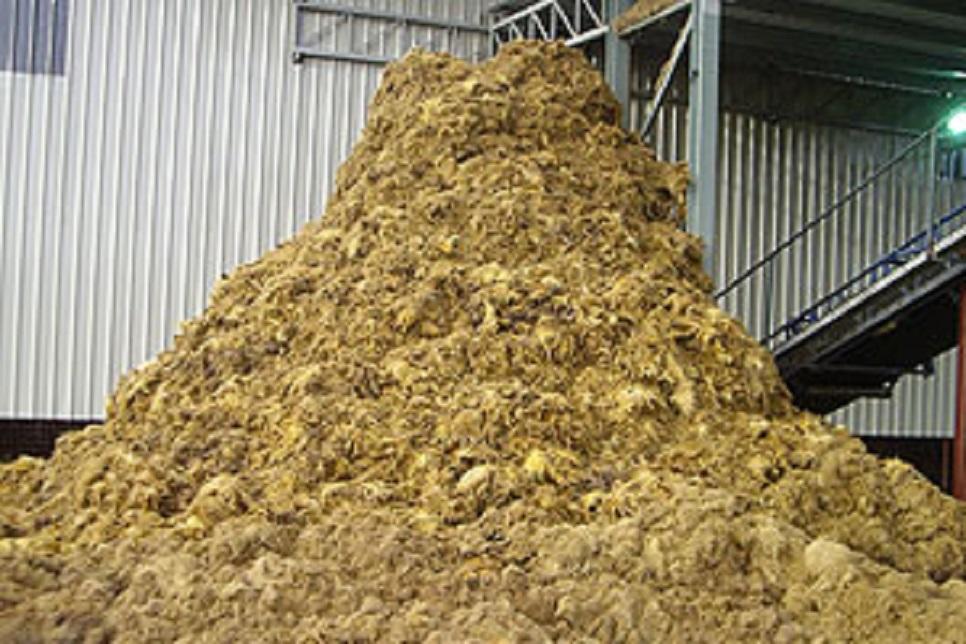 Oil Palm Fibre2