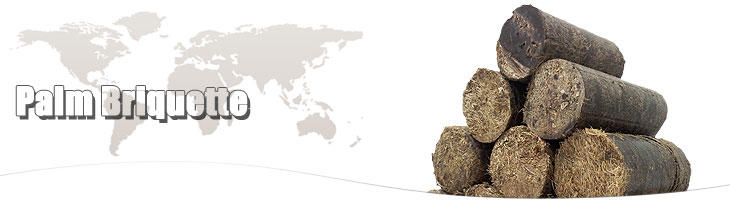 Palm Briquette