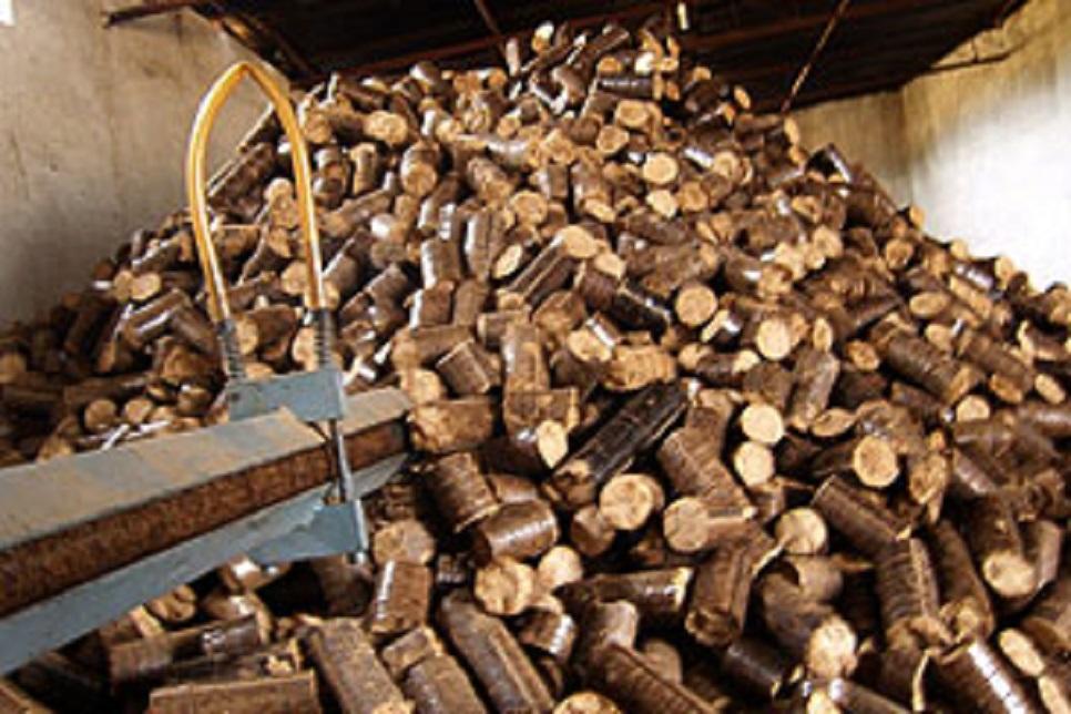 Palm Briquette1