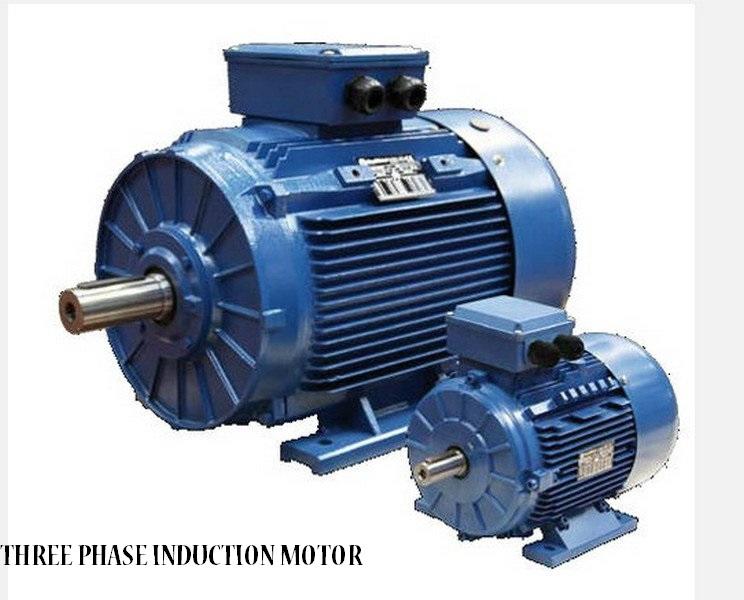 THREE PHASE INDUCTION MOTOR