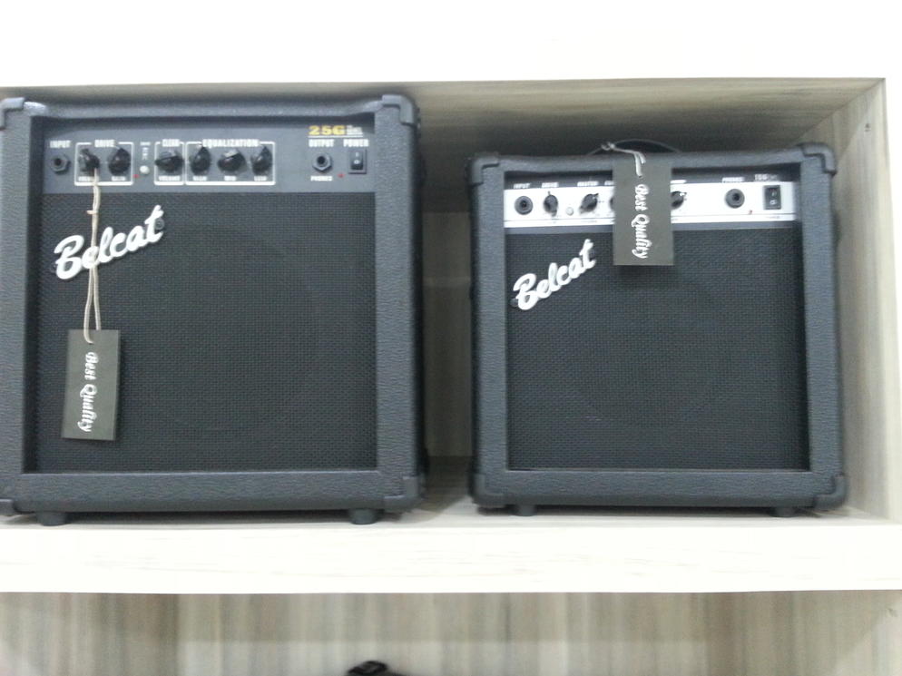 Belcat 15G EL Amp