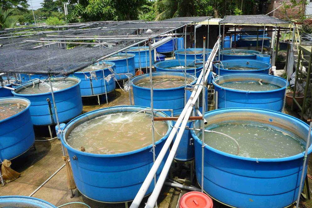 Aquaculture System