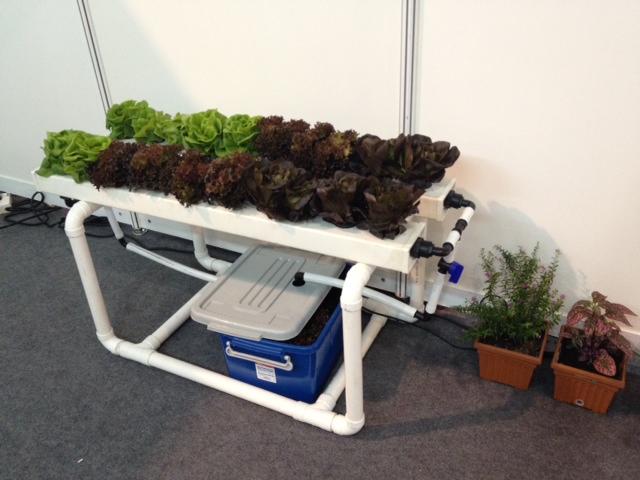 Mini Hydroponic Set