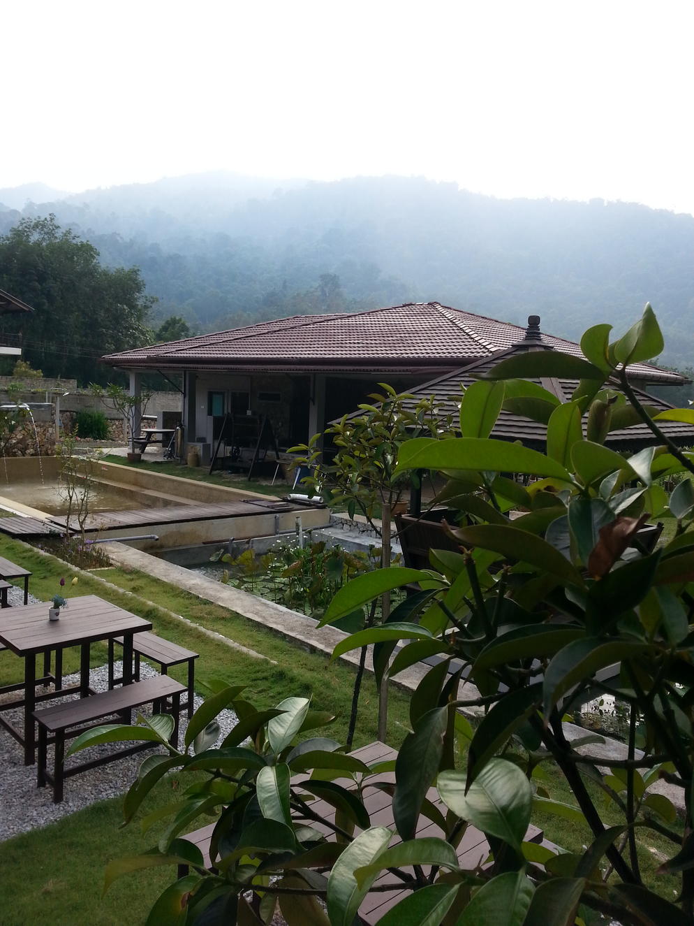 Open Area