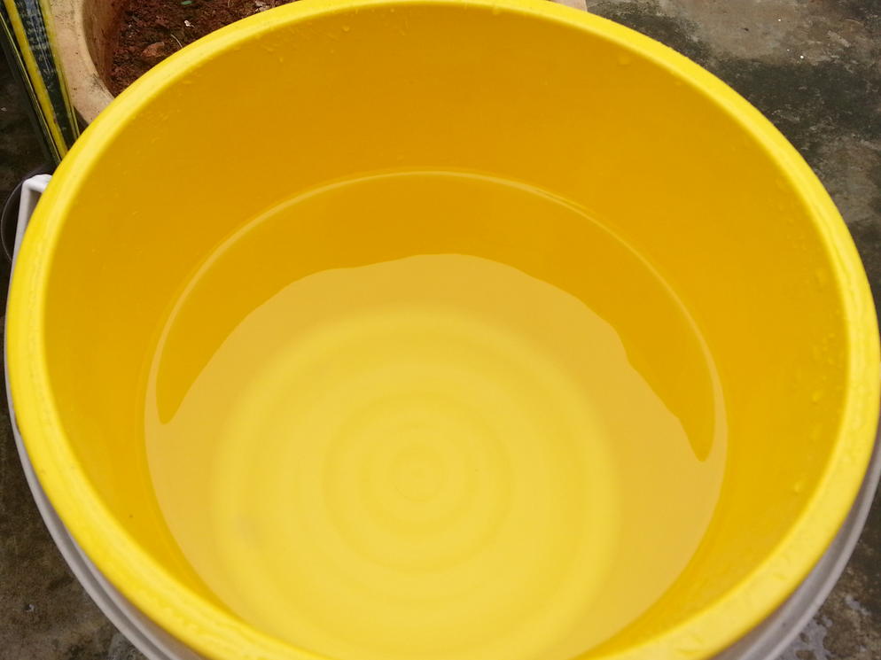 Filter Water